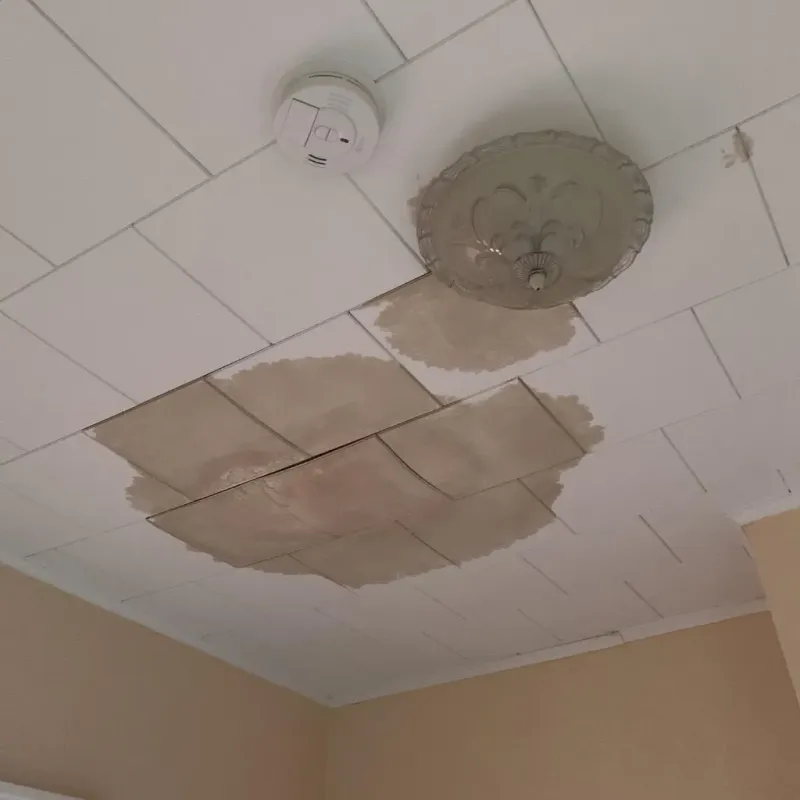 Ceiling Water Damage Repair in Chatfield, MN