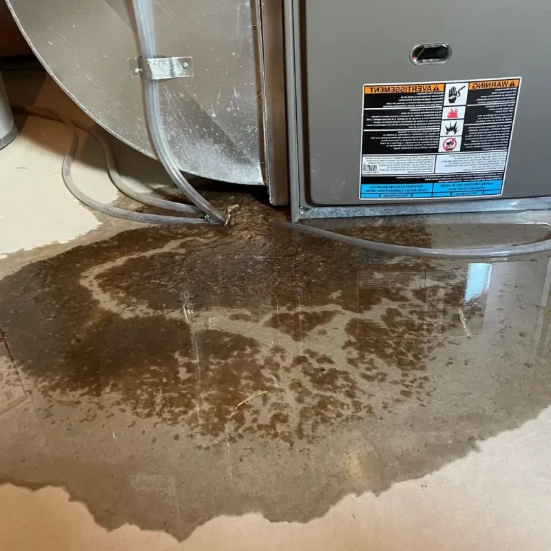 Pipe Burst and Leak Restoration in Chatfield, MN
